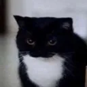 pls