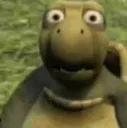 WTF