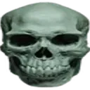 Skull