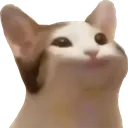 NiceCat