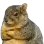 angysquirg