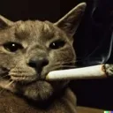 cat_smoke