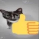 catthumbsup