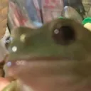 hurb