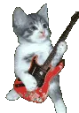 guitarcat