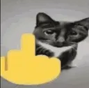 MiddleFinger
