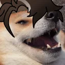 WrioDogKek