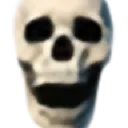 skull
