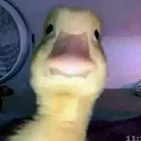 mm_khe