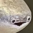 Feesh