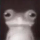 poopy
