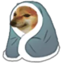 phdoggo