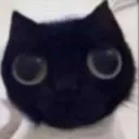 stare