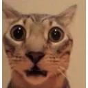 emoji_22