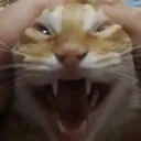 insane