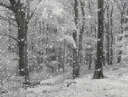 coldmorning