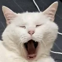 emoji_50