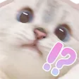 __ __