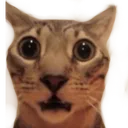 woah Discord emoji