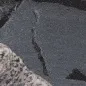 wiggle