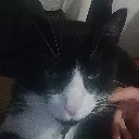 Manuel