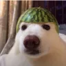 Capitan_sandia_priv