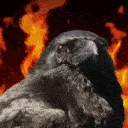 0crowonfire