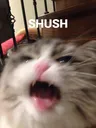 shush