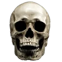 suul