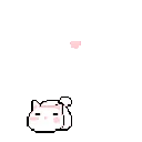 butterfly_cat