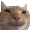 gusicsmile