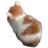 angy
