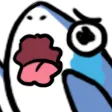 shark_cry