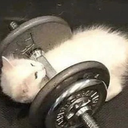 stronk Discord emoji