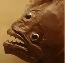 feeshurprised