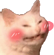 flushed_cat Discord emoji