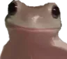frogisproud frogisproud