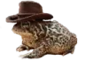 preparetocroak preparetocroak