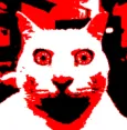 555_