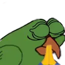 birdgeprayge birdgeprayge