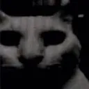 nightmare