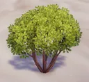 TinyBush