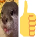 ottersup