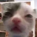 eepyyyy Discord Emoji