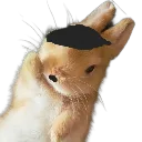 bunnitler