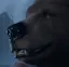 davaBG3