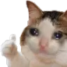 ThumbsUpCat