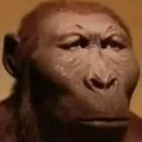 monke