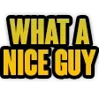 whataniceguy