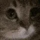 Meow Meow